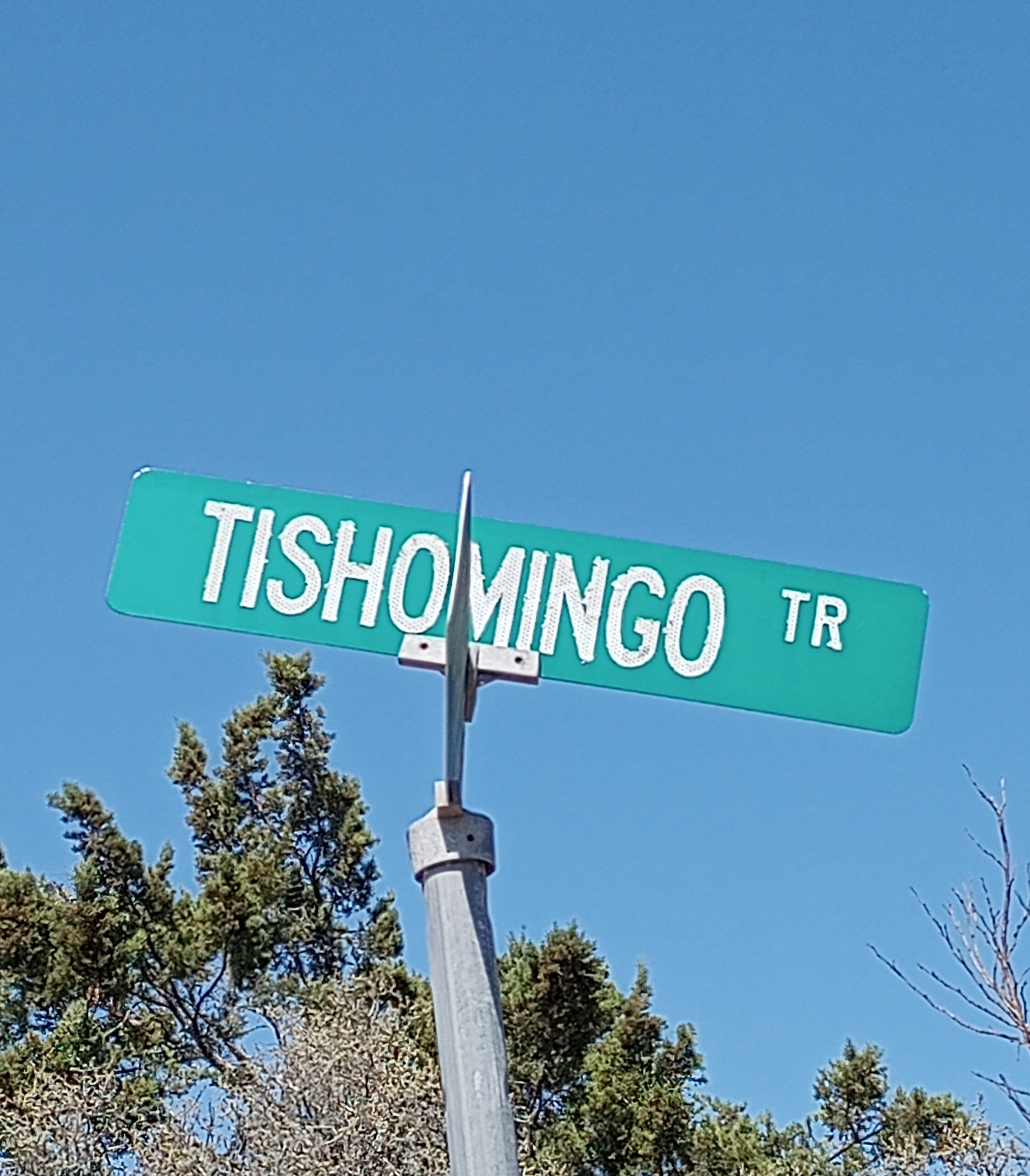 Tishomingo: A Leader in a Time of Upheaval