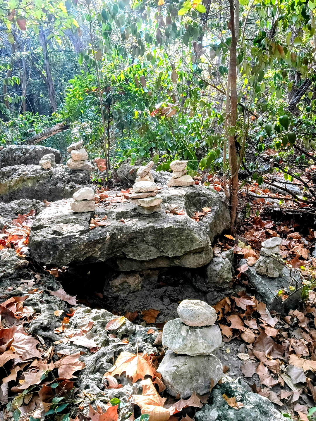 Grouping of stacked stone cairns near the entrance to Indian Creek Trail in Apache Shores, surrounded by fallen oak leaves and the natural Hill Country landscape.