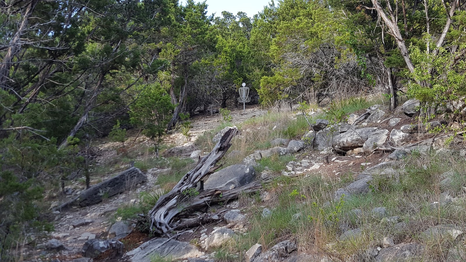 Disc golf basket on the Badlands Disc Golf Course surrounded by rocky limestone terrain, native grasses, cedar trees, and dense Hill Country vegetation.
