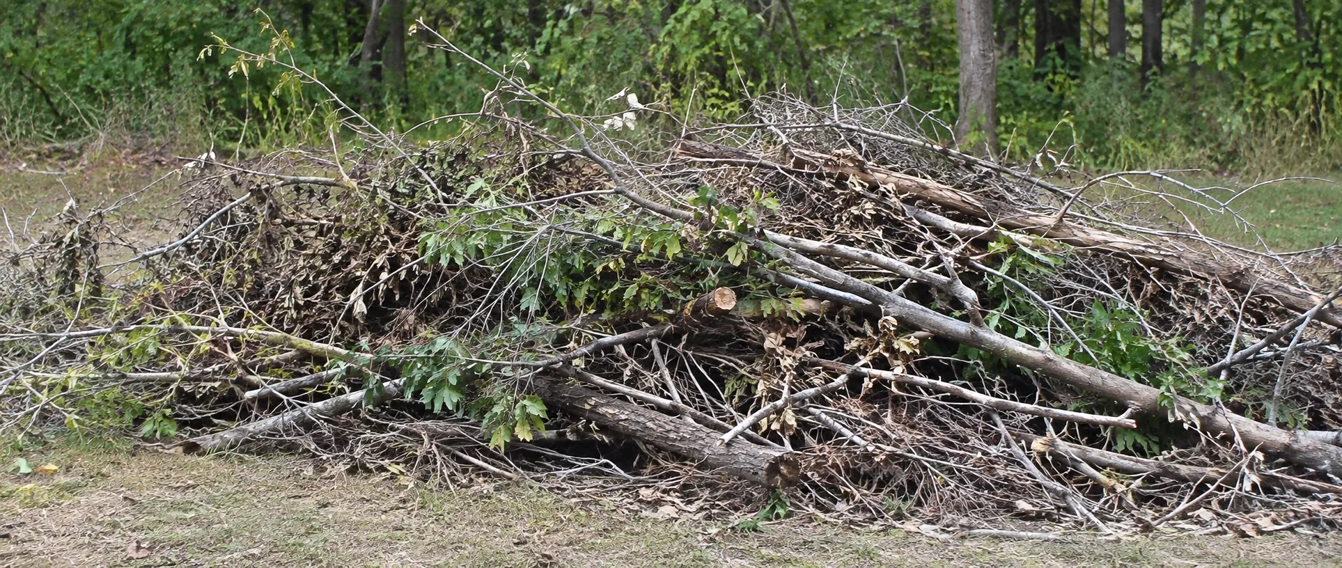Bulk Trash & Brush