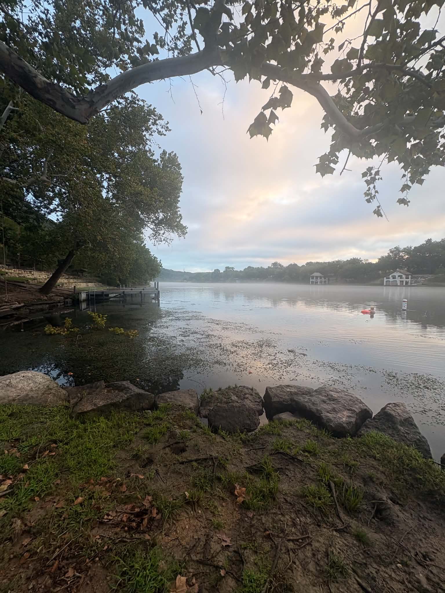 Misty early-morning view of Lakeside Park in Apache Shores, with trees and park grounds fading into the fog near the water.