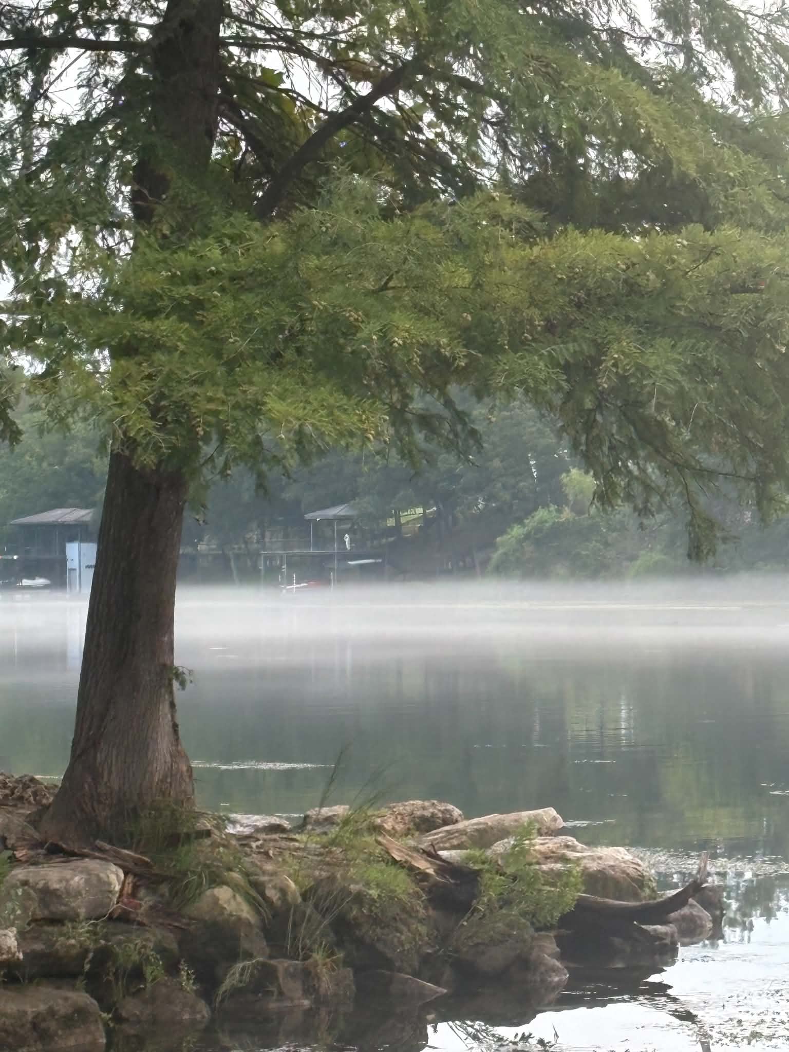 Misty early-morning view of Lakeside Park in Apache Shores, with trees and park grounds fading into the fog near the water.